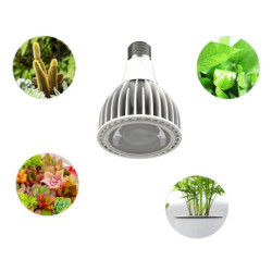 LED grow žárovka E27 40W pro rostliny