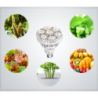 SANSI LED žárovka E27 pro růst rostlin 36W