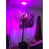 Modulový LED reflektor 50W pro růst a květ rostlin