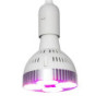 LED Žárovka pro pěstování rostlin 35W E27