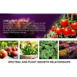 LED Žárovka pro pěstování rostlin 35W E27