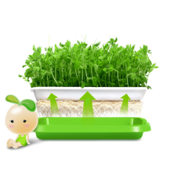 Tác pro klíčení semen a pěstování microgreens
