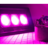 LED grow reflektor 150W fullspectrum