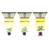 LED grow SAMSUNG panel 320W pro růst rostlin